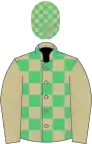 Beige and emerald green check, beige sleeves