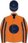 Orange, dark blue disc, striped sleeves, dark blue cap