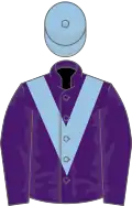 Purple, light blue chevron, light blue cap
