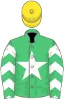 Emerald green, white star, white chevrons on sleeves, yellow cap