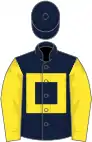Dark blue, yellow panel and sleeves