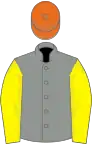 Grey, lemon sleeves, orange cap