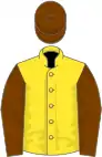 Canary yellow, chocolate sleeves and cap