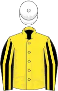 Yellow, black and yellow striped sleeves, white cap