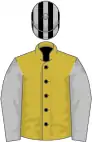 Old gold, black velvet buttons, silver grey sleeves, black and silver striped cap