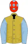 Old gold, light blue sleeves and spots on scarlet cap