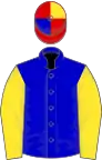 Blue, yellow sleeves, red, blue and yellow quartered cap