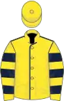 Yellow, dark blue seams, hooped sleeves, yellow cap