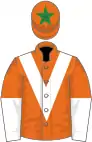 Orange, white chevron, halved sleeves, green star on cap