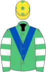 EmGreen,royal blue chevron,green and white hooped slvs,yellow cap,green stars