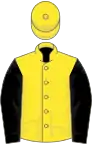 Yellow, black sleeves