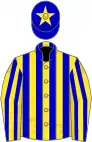 Yellow and blue stripes, blue cap, yellow star