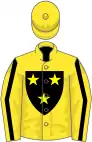 Yellow, black shield, halved sleeves, yellow cap