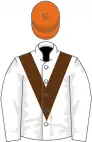 White, brown chevron, orange cap