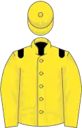 Yellow, black epaulets