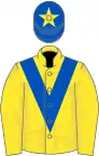 Yellow, royal blue chevron, royal blue cap, yellow star