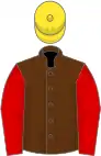 Brown, red sleeves, yellow cap