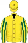Yellow, dark green striped sleeves