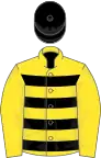 Yellow and black hoops, yellow sleeves, black cap