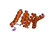 2bug: SOLUTION STRUCTURE OF THE TPR DOMAIN FROM PROTEIN PHOSPHATASE 5 IN COMPLEX WITH HSP90 DERIVED PEPTIDE