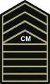 Philippine Army Insignia