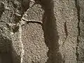Sand tracks – uncover finer grains (Curiosity rover; December 3, 2015).