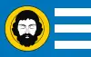 Flag of {{{official_name}}}