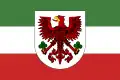Flag of Gorzów Wielkopolski