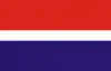 Flag of Gmina Parzęczew
