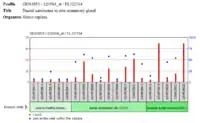 PRP36 Protein Presence in cells of a Ductal Carcinoma of the Mammary Gland.