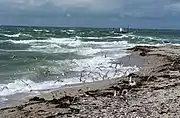 Pointe de Saint-Gildas, Préfailles, Loire-Atlantique.