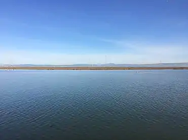 Marshland above high tide