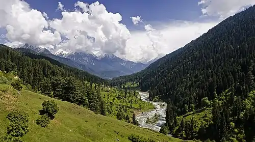 View of valley in Pahalgam town, Anantnag district, Jammu and Kashmir, India