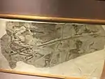 The holotype of Microraptor on display at the museum.