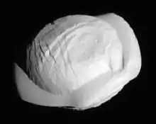Pan(moon of Saturn)