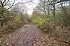 Papworth Wood