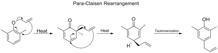 Para-Claisen rearrangement