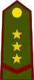 Paraguay(coronel)