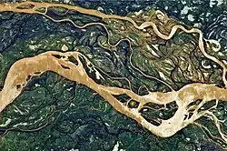 Astronaut's photo showing a 29-kilometre (18&nbsp;mi) stretch of the Paraná, just  downstream from Goya, Argentina