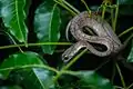 Kaeng Krachan District, Thailand