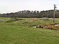 The remains of Park Pit in an ancient field called the Long Ing.