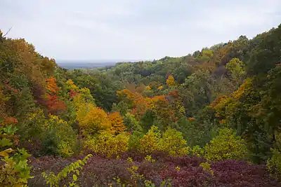  Hill view with orange, red, yellow, and green-leaved trees.