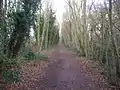 Knapton Cutting