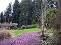 *Garden near park entrance