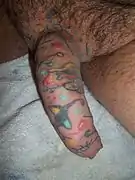Human penis