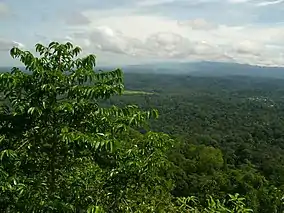 Peradayan Forest Reserve