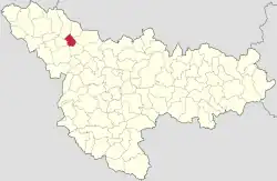 Location in Timiș County