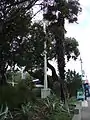 Historic New Zealand/Australia Railwaymen's flag pole.