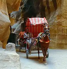Tourist carts in Petra Siq (Jordan)