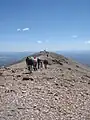 Baldy Summit Ridge